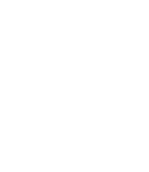 Evolution Glazing logo