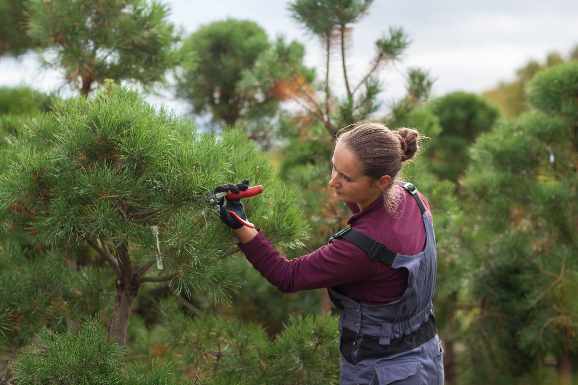 Sensitive Habitat & Environmental Services