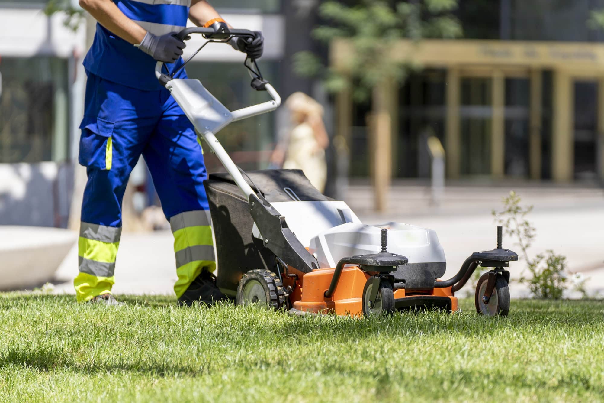 Landscape, Grounds & Vegetation Services