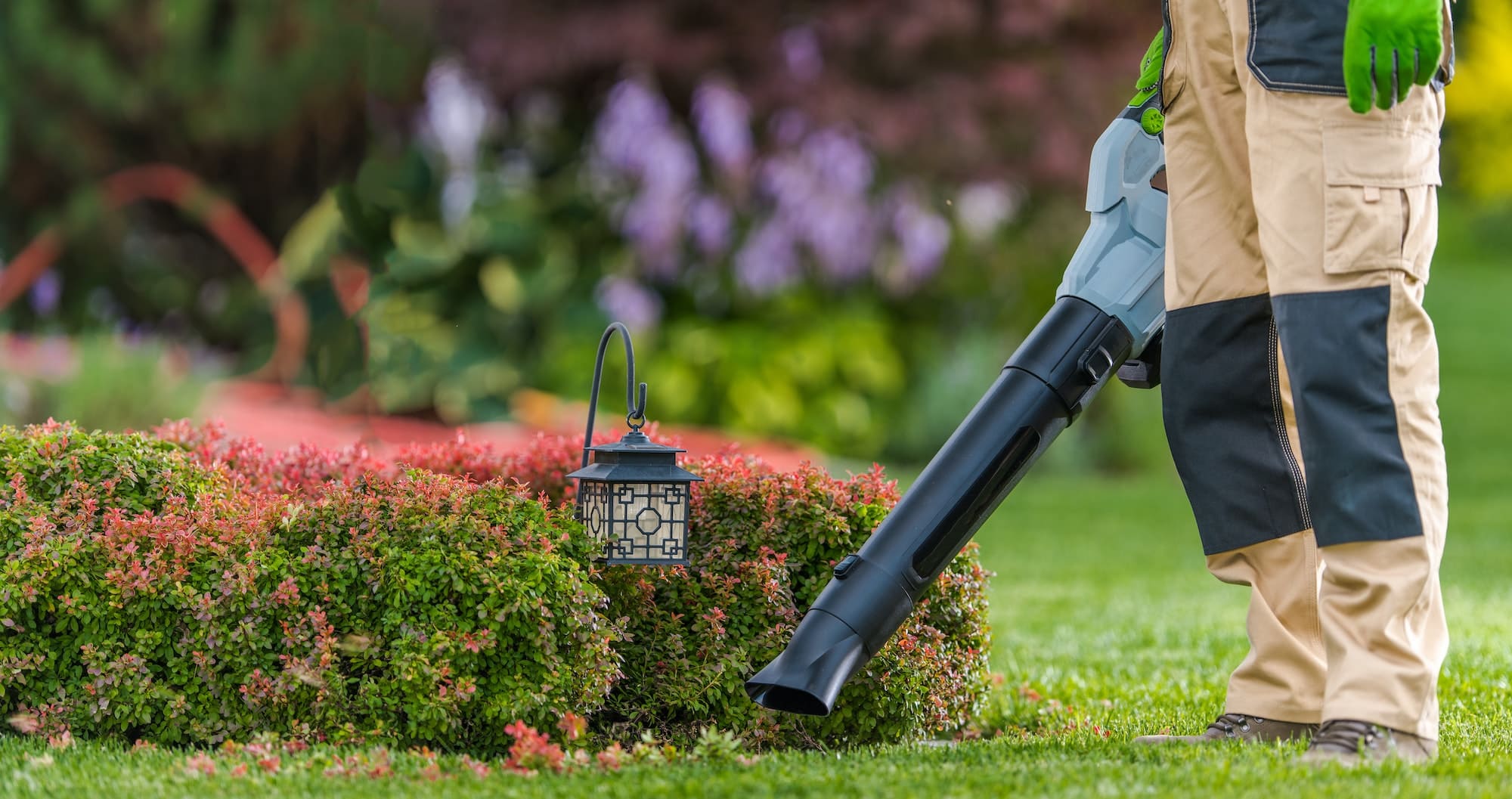 Sensitive Site Vegetation Management