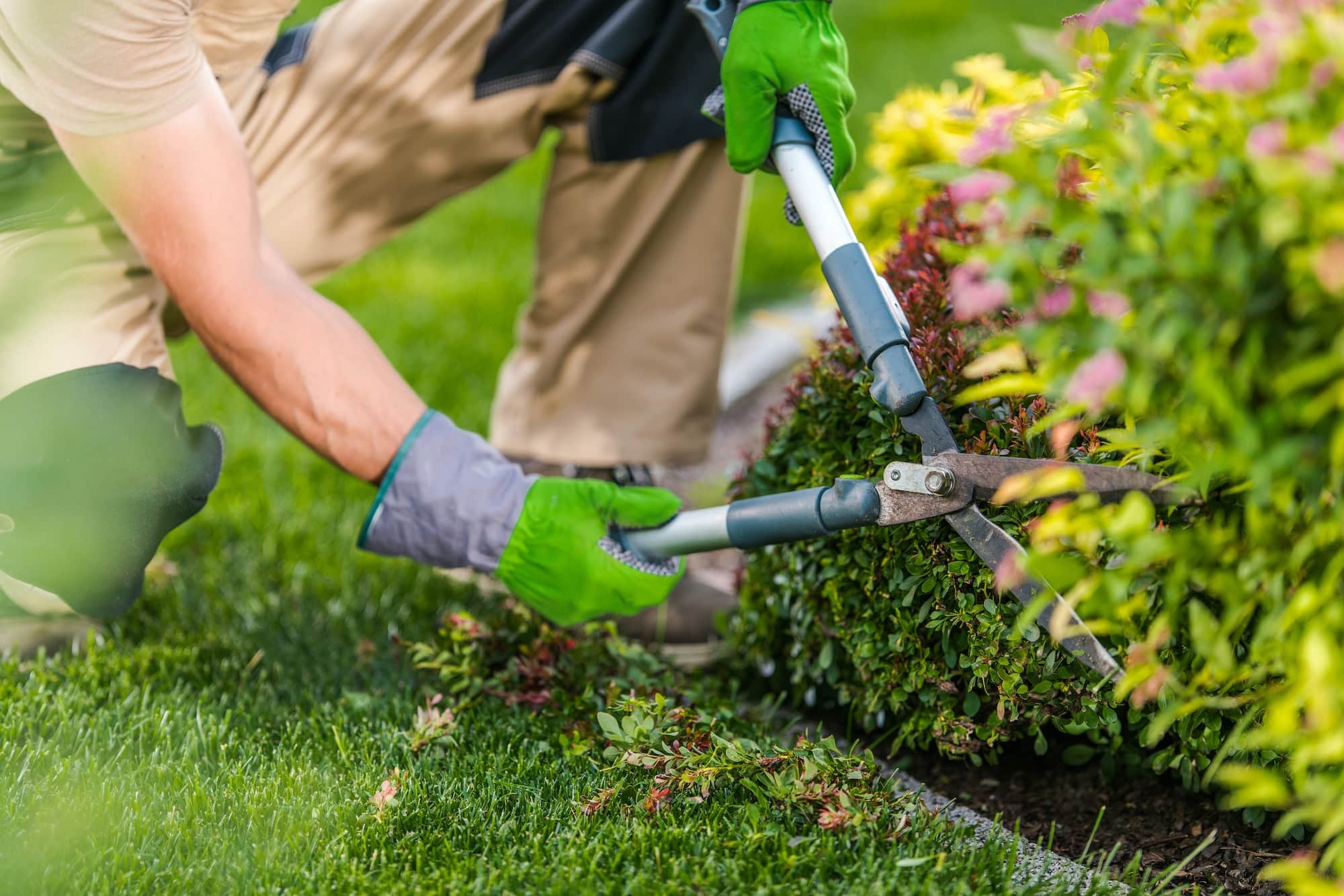 Landscape Design & Site Enhancements
