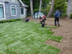 Commercial Excavation and Civil Landscaping