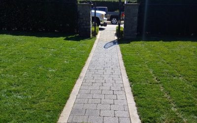 36